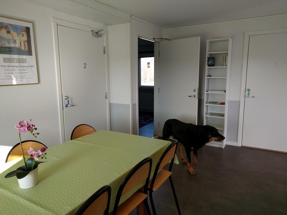 Olserods Hundcenter & Vandrarhem Degeberga Esterno foto